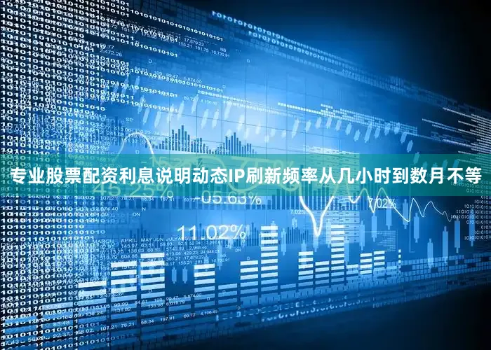 专业股票配资利息说明动态IP刷新频率从几小时到数月不等