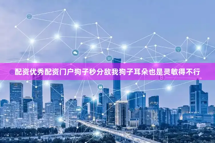 配资优秀配资门户狗子秒分敌我狗子耳朵也是灵敏得不行