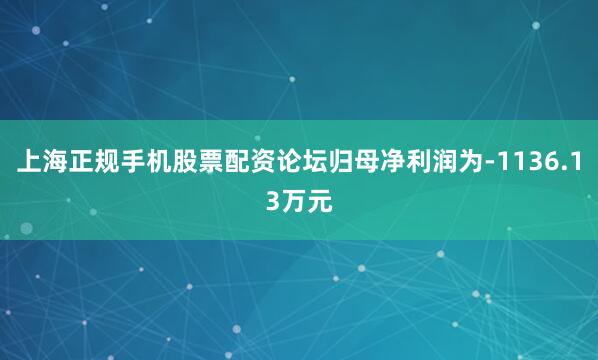 上海正规手机股票配资论坛归母净利润为-1136.13万元
