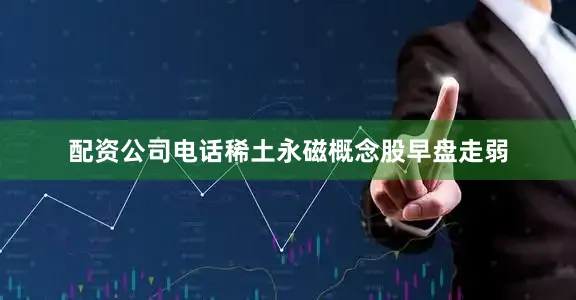 配资公司电话稀土永磁概念股早盘走弱