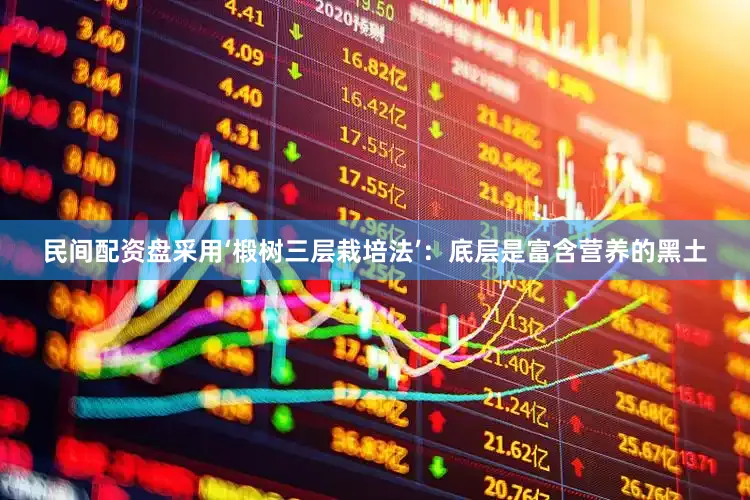 民间配资盘采用‘椴树三层栽培法’：底层是富含营养的黑土