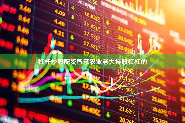 杠杆炒股配资智慧农业老大持股杠杠的